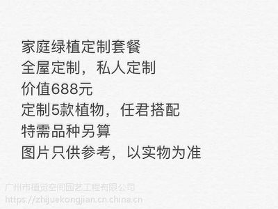 綠色相伴，生機常在——廣州植物租賃與空間定制服務精選